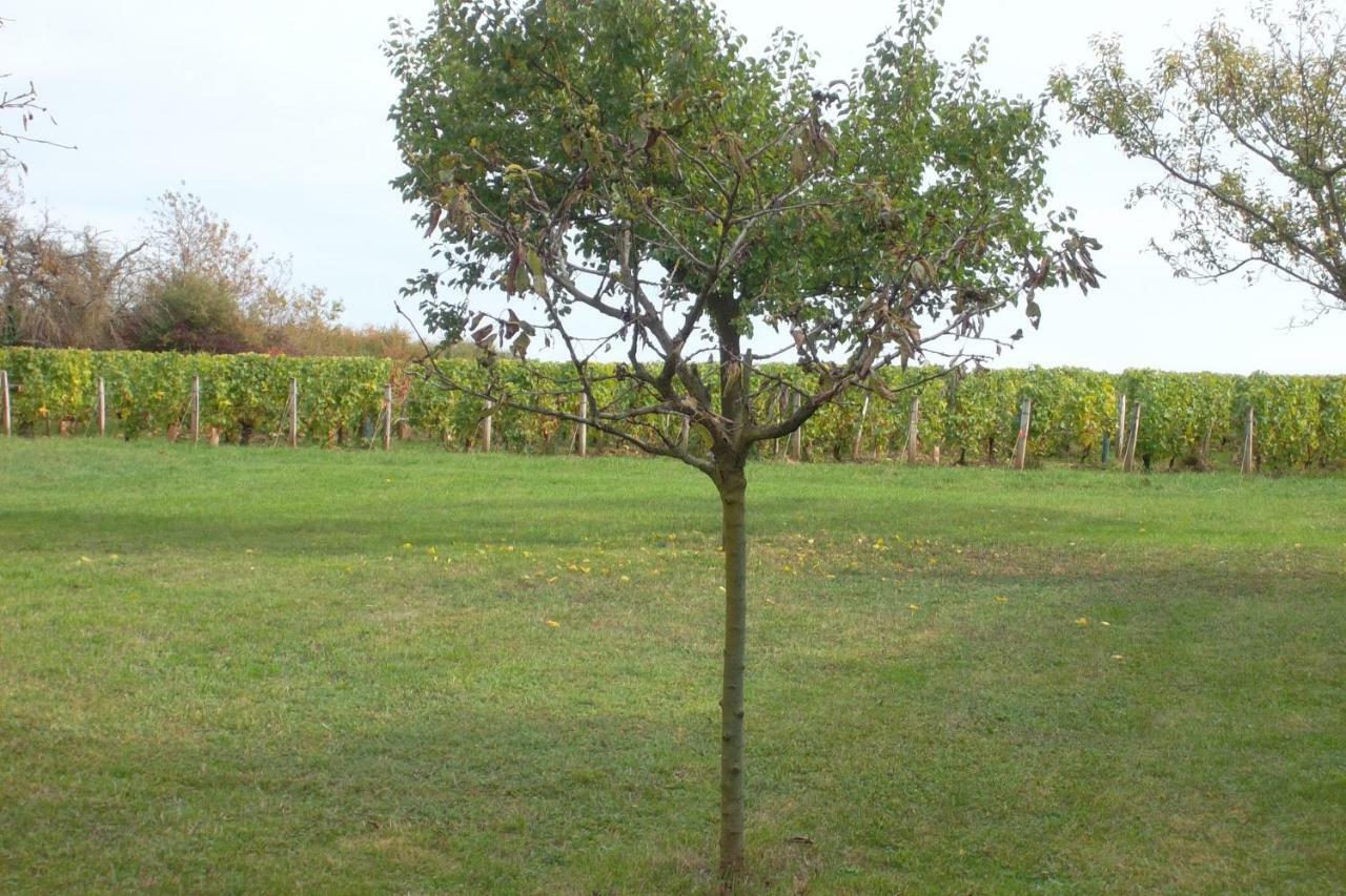 Armalou Bed & Breakfast Pouilly-sur-Loire Exterior foto